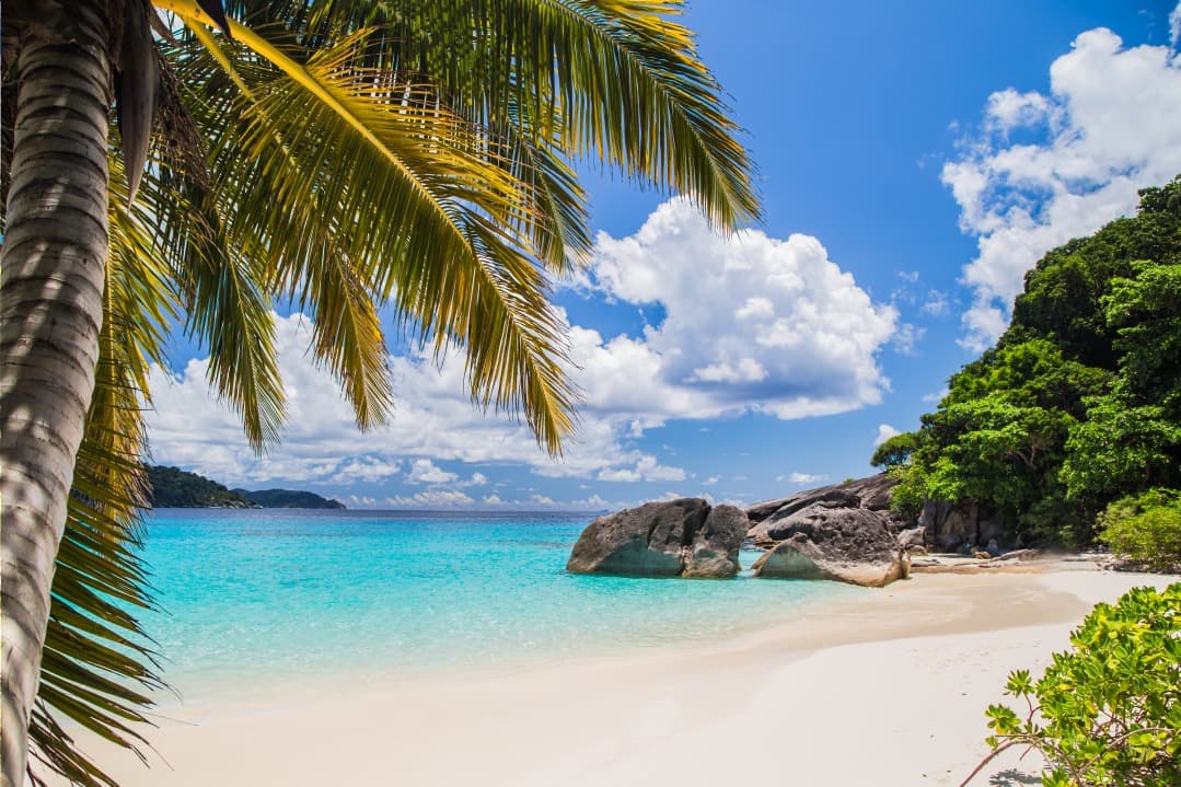 La Thaïlande interdit la crème solaire nuisible aux coraux dans ses parcs marins